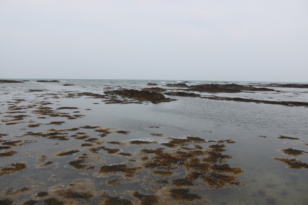 Strangford Lough