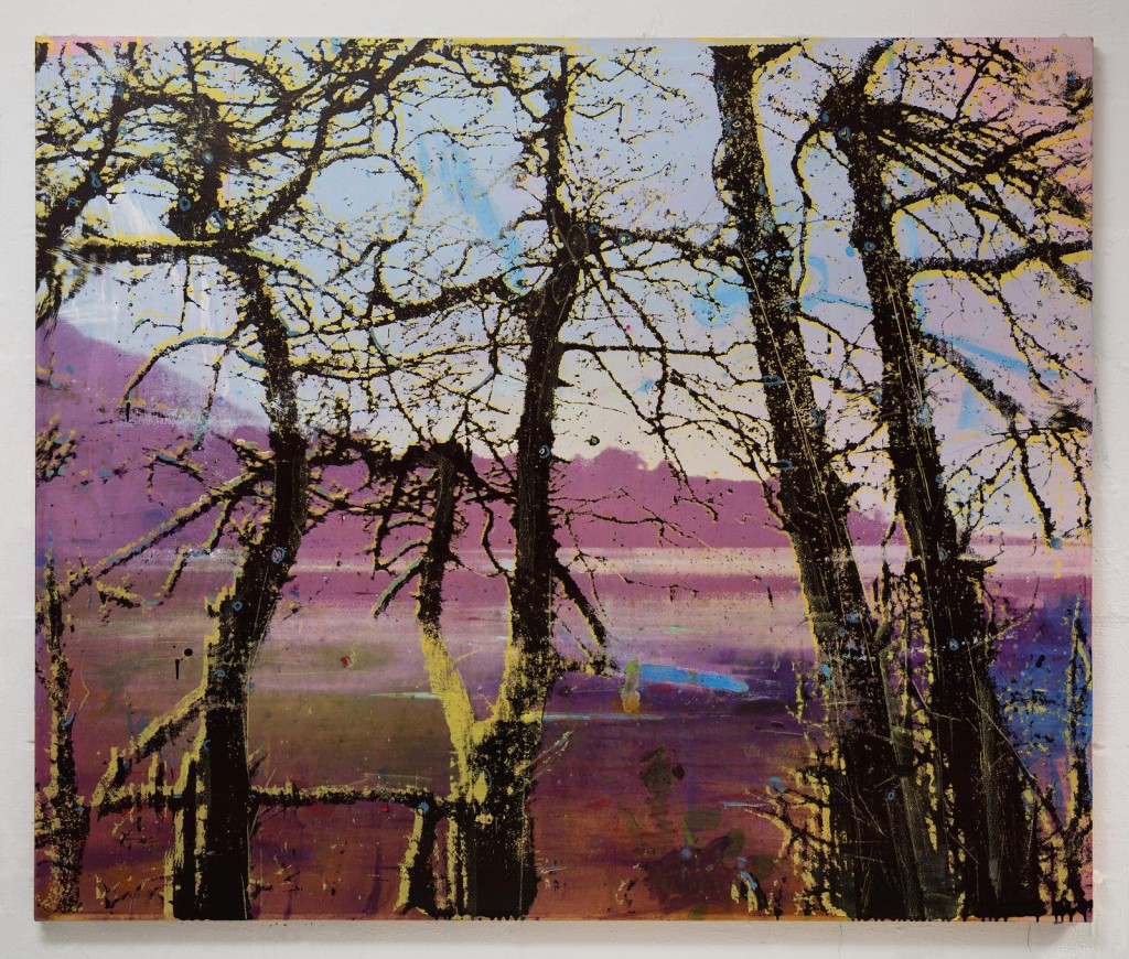 Elizabeth Magill, Headland (1), 2017, oil and screenprint on canvas, 153 x 183.5 cm / 60.2 x 72.2 in