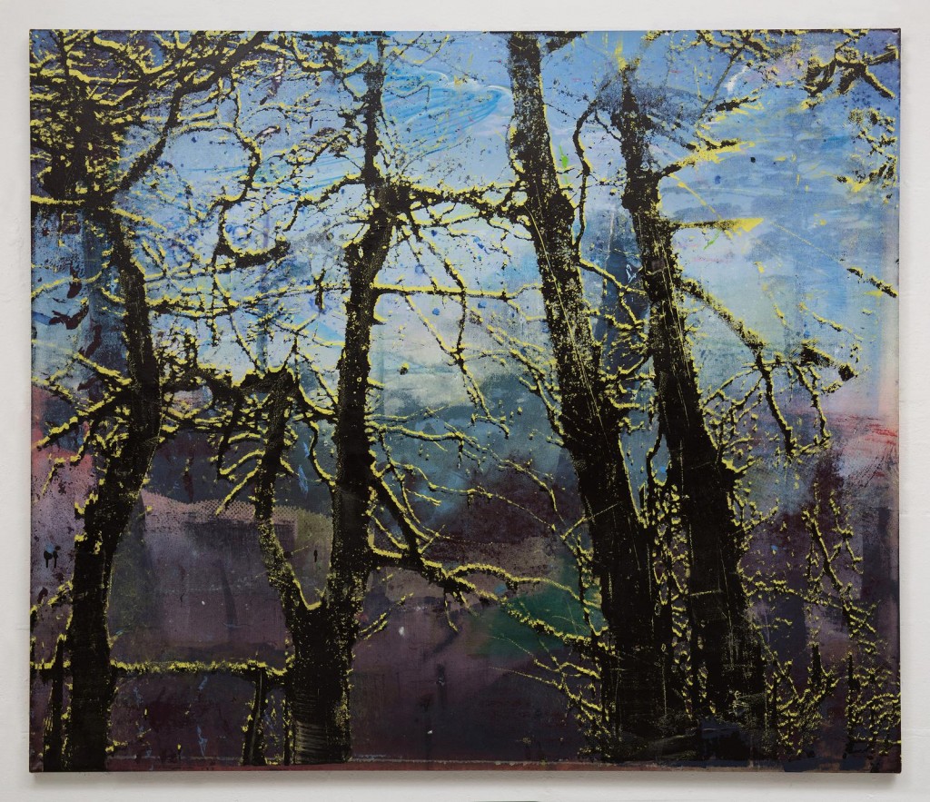 Elizabeth Magill, Anterior (1), 2017, oil and screenprint on canvas, 153 x 183 cm / 60.2 x 72 in